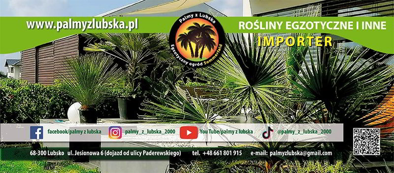 Import palm, palmy ogrodowe, palmy mrozoodporne, palmy do ogrodu w Polsce.